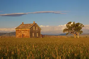 Prairies: Old Farm house on prairie