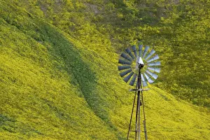 Energy: An old fashioned windmill stands in front of a flower
