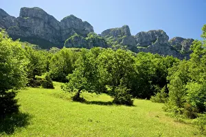 Vikos: Old fields on the upper slopes of the Vikos Gorge