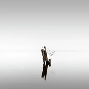 Groynes: Old groynes for bank protection at Muggelsee in