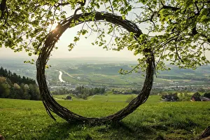 Schwyz: Old lime tree and circle of branches, at the Michaelskreuz