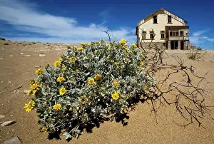 Luderitz: Old Mining Town near Luderitz called Ghost Town