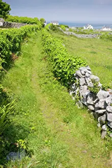 Walled: Old pathway through small limestone-walled old