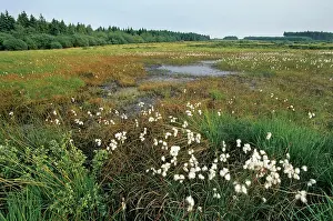 Hydro: Old Pingo / Hydro Laccolith / Pingas
