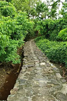Walkway: Old stone pathway, Yap, Caroline Islands