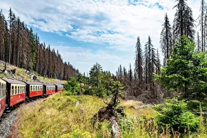 Wagons: Old train wagons on a railroad in a forest with