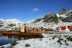 Wrecks: Old Whaling boats at Grytviken
