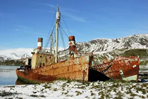 Wrecks: Old Whaling boats at Grytviken