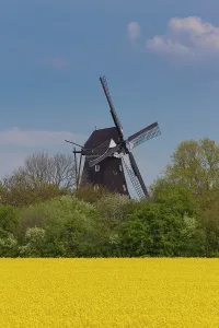 Windmill: Old windmill of Lemkenhafen - Island of Fehmarn