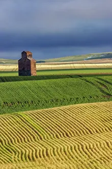 Wooden: Old wooden granary in Collins, Montana, USA
