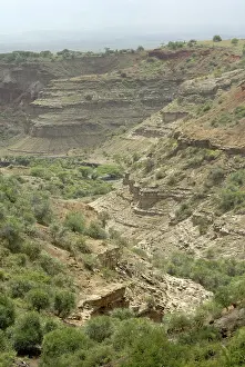 Cradle: Olduvai Gorge