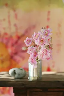 Minimal: Oleander
