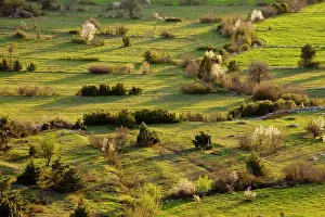 Boundaries: Olf field patterns and boundaries on a spring evening;