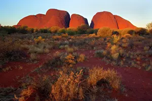 Kata: Olgas - Kata Tjuta - famous sandstone rocks at sunset