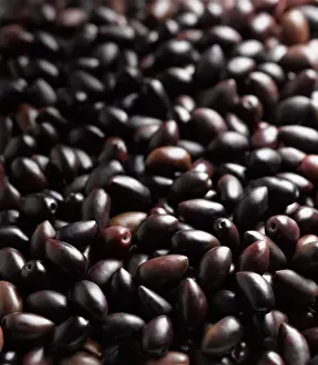 Olea: Olive, Olea europea Kalamata, Mass of black olives