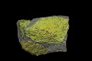 Olivine: Olivine in basalt