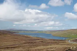Firth: Olna Firth, Mainland