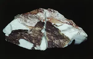 Quality: Olympic Australis Opal
