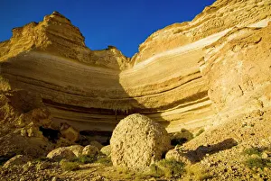 Oman: Oman, Al-Shuwaymiyah, Wadi Al-Shuwaymiyah