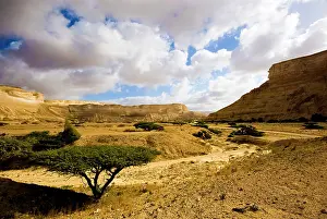 Oman: Oman, Al-Shuwaymiyah, Wadi Al-Shuwaymiyah
