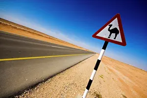 Oman: Oman, Marmul, road sign of camel crossing