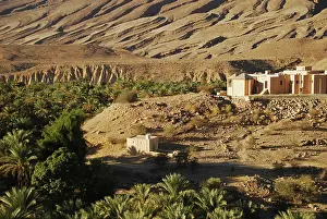 Oman: Oman, Wadi Bani Khalid, houses by fan palm