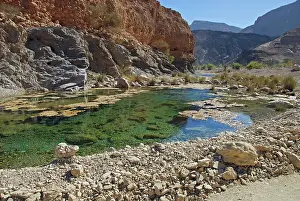 Oman: Oman, Wadi Dayqah, natural pristine green