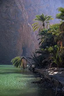 Oman: Oman, Wadi Shab, natural pristine green