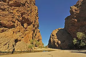 Oman: Oman, Wadi Shab, natural pristine green