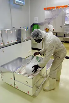 Commerical: Ombrine Fish