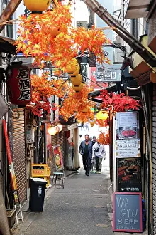 Paul Brown: Omoide Yokocho or Memory Lane alleyway in Shinjuku, Tokyo, J