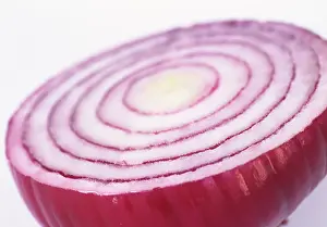 Cepa: Onion