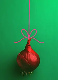 Cepa: Onion