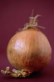 Cepa: Onion