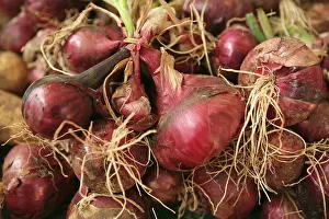Saved: Onion