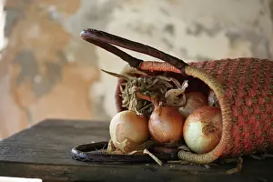 Shopping: Onion
