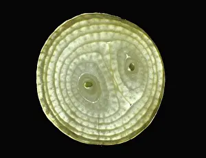 Onion: Onion Cross Section
