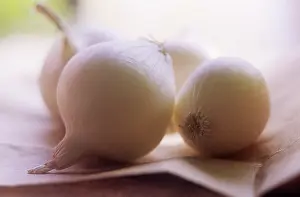 Cepa: Onion
