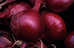Cepa: Onion