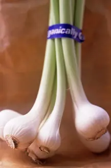 Strengthen: Onion