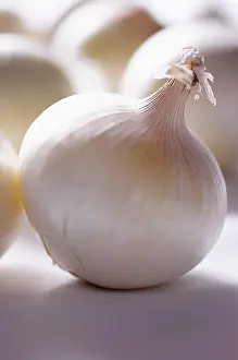 Onion: Onion, White onion, Allium cepa, White subject