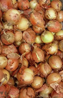 Onion: Onions