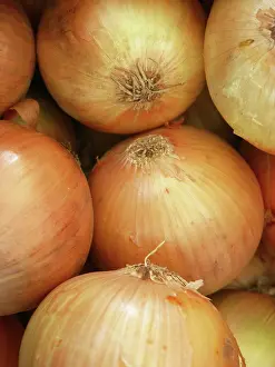 Onion: Onions