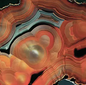 Dioxide: Onyx
