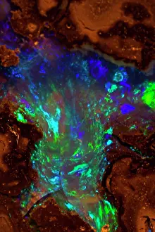 Opals: Opal - Mined in Yowah - Queensland Australia