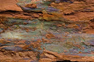 Opals: Opalized Wood - Rainbow Ridge Opal Mine