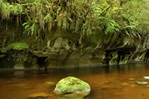 Oparara: Oparara river - picturesque Oparara river flowing