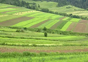 Tatra: Open field systems in Tatra foothills