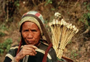 Sell: Opium POPPY - Meo tribes woman with opium pods to sell