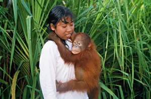Firendship: ORANG-UTAN - HUGGING WOMAN